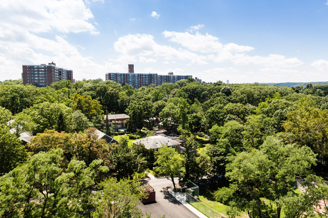 The Windsors Cooperative Apartments